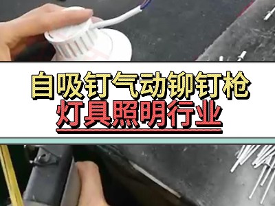 自吸钉气动91视频污软件-灯具照明行业